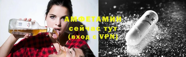 гидра Абаза