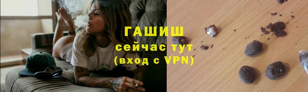 гидра Абаза