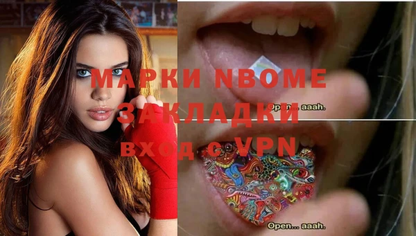 гидра Абаза