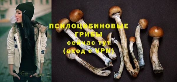 spice Абинск