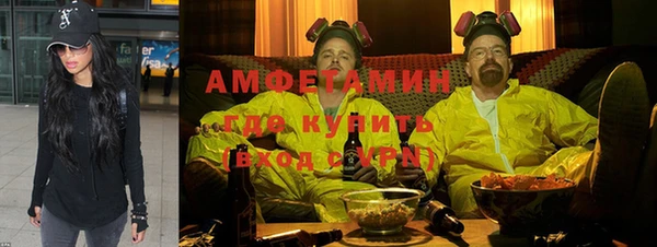 гидра Абаза