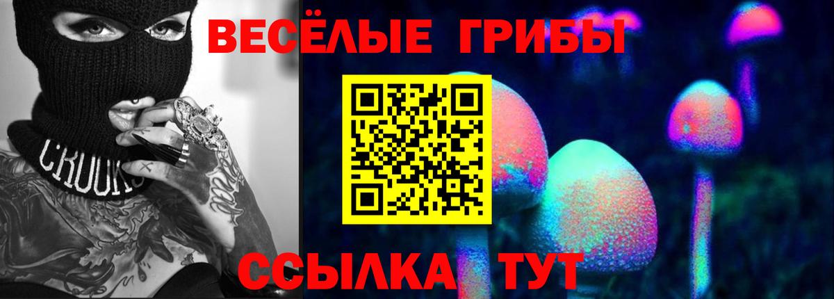 Новочебоксарск  Галлюциногенные грибы Cubensis  Вход с VPN 